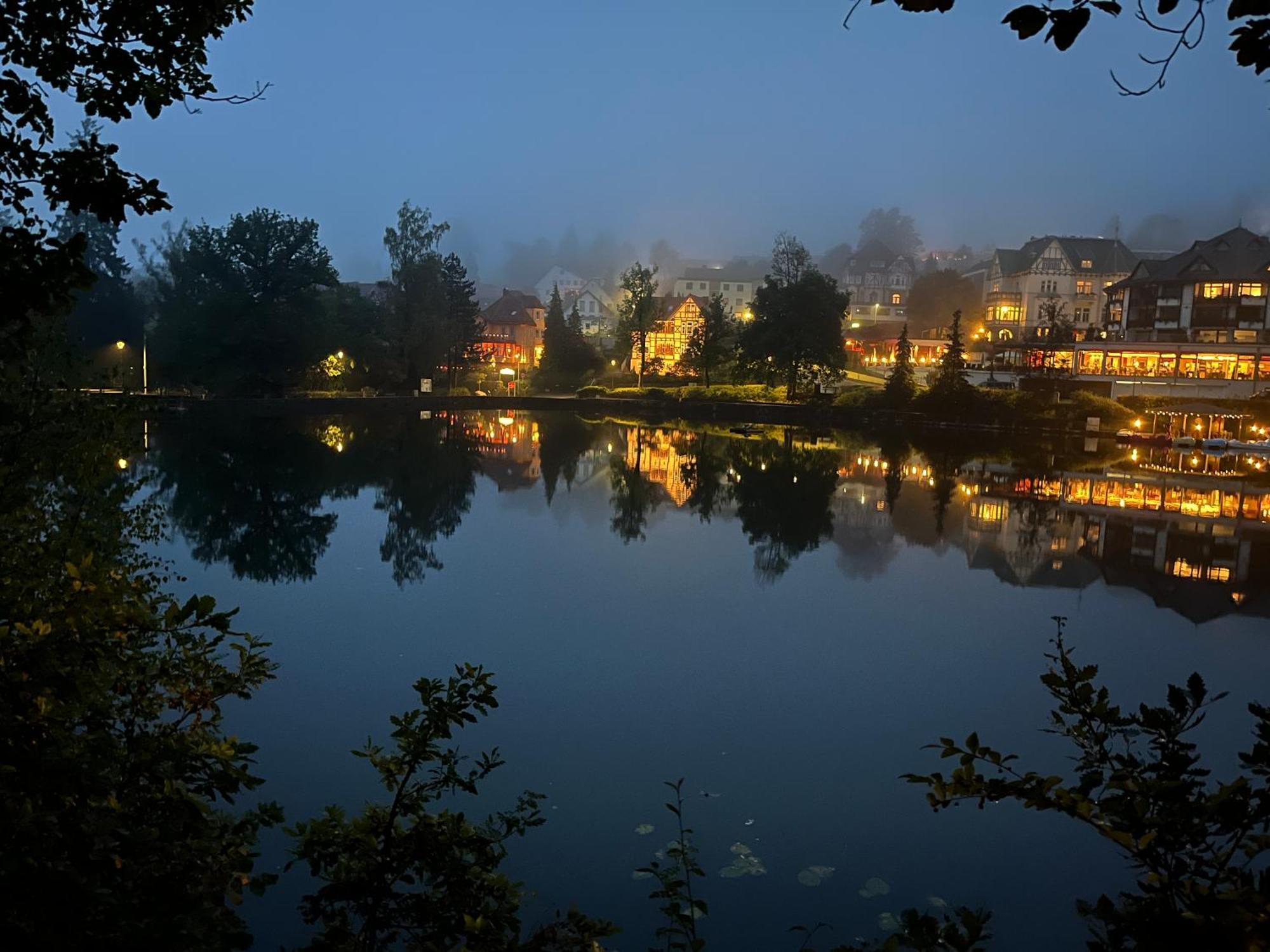 Haus Am See Бад Захса Екстериор снимка