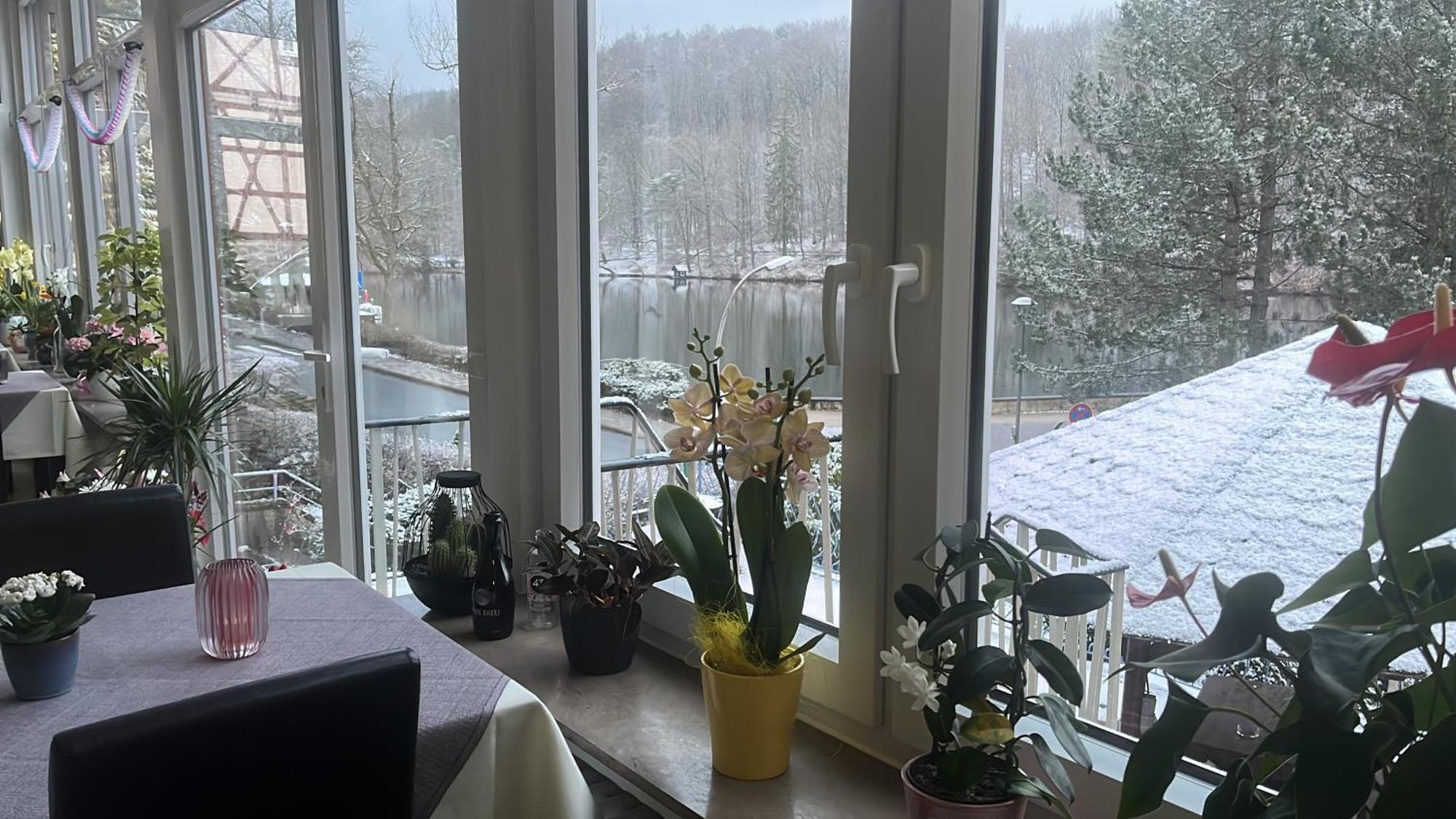 Haus Am See Бад Захса Екстериор снимка