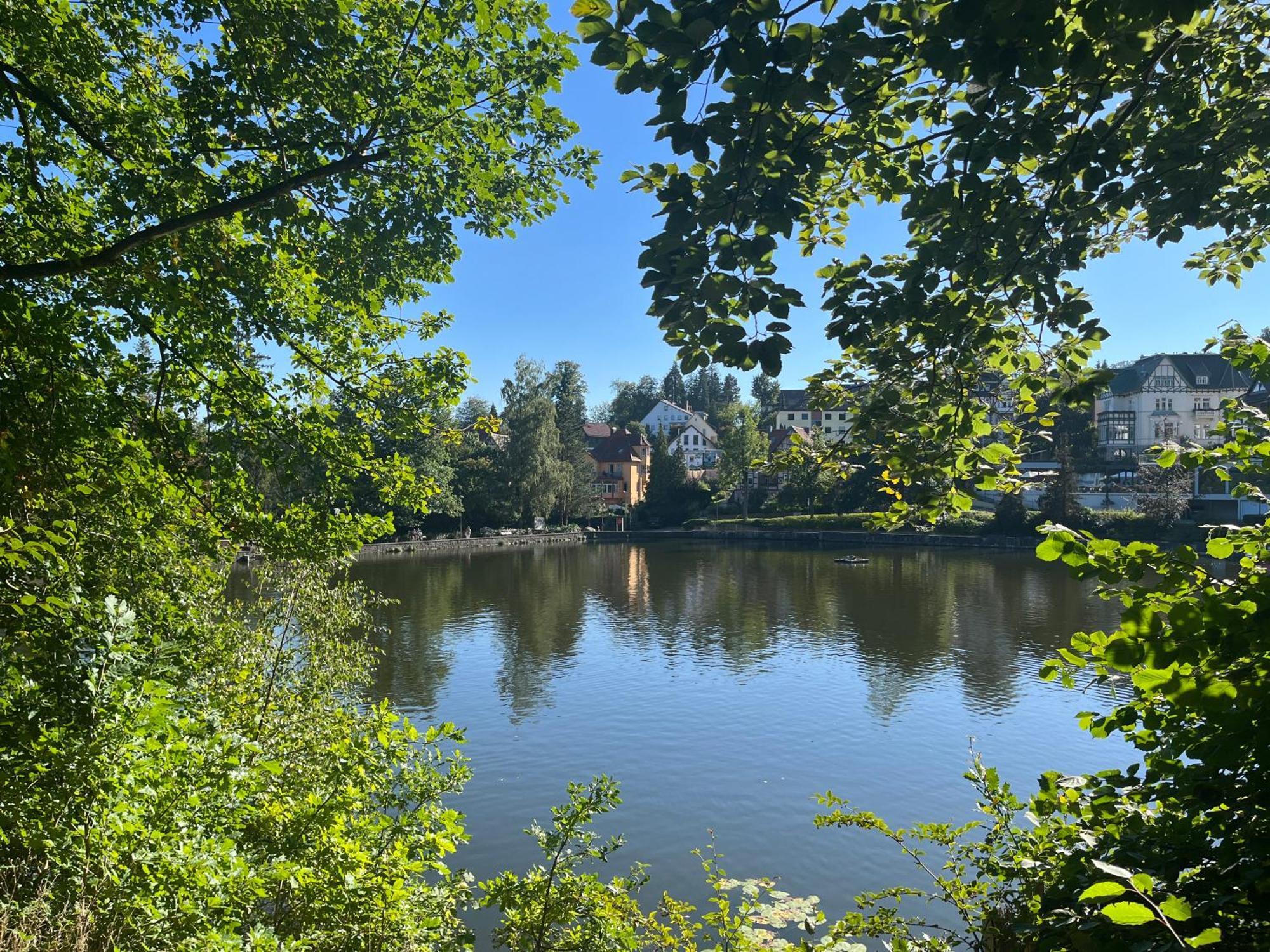 Haus Am See Бад Захса Екстериор снимка