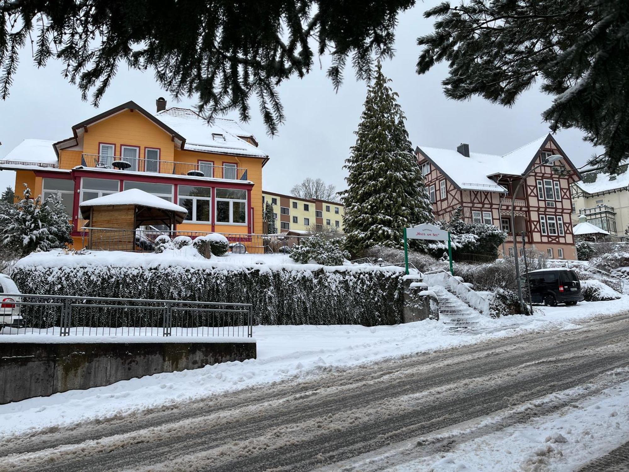 Haus Am See Бад Захса Екстериор снимка